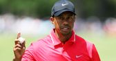 Players don't like Tiger