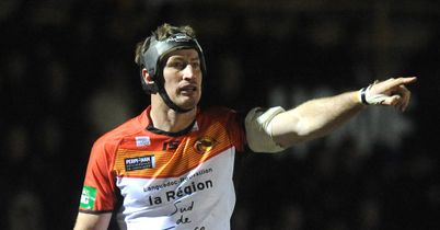 Dragons survive Tigers revival