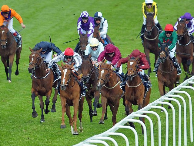 Talent comes to claim Secret Gesture in the Investec Oaks
