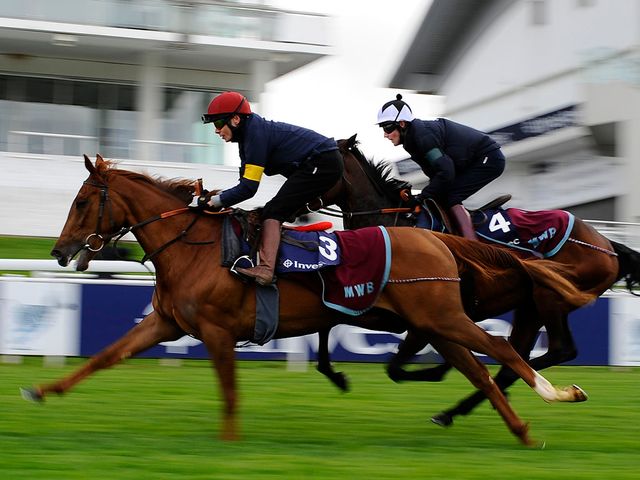The Lark: Will run if conditions are suitable