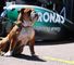 Arriving in Monaco