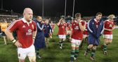 Brumbies-Lions recap