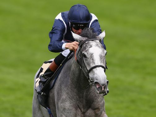 San Diego Horse Race Tepin Gets Invite To Royal Ascot Thoroughbred Horse Racing Horses Horse Racing