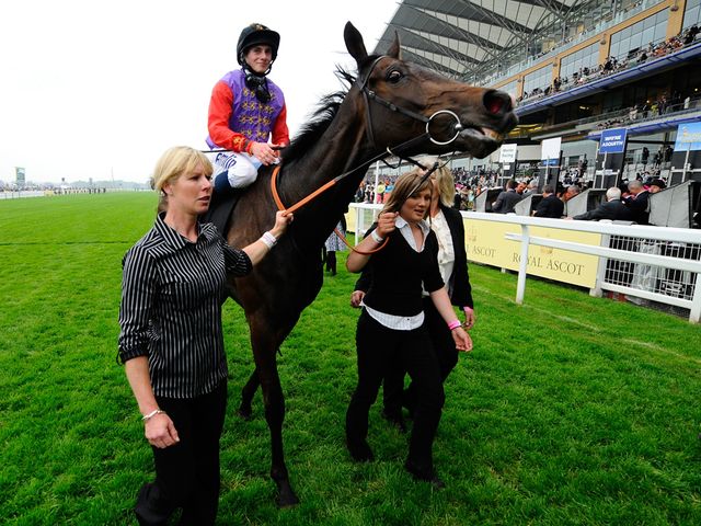 Estimate: Ascot hopeful