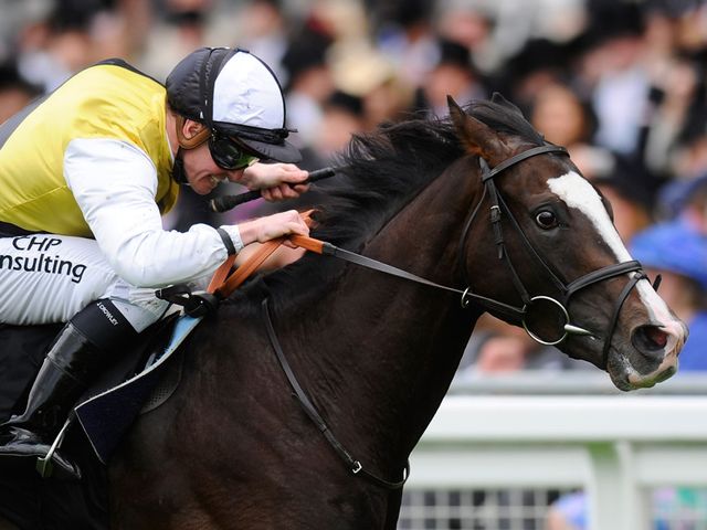 Berkshire: Makes much anticipated reappearance
