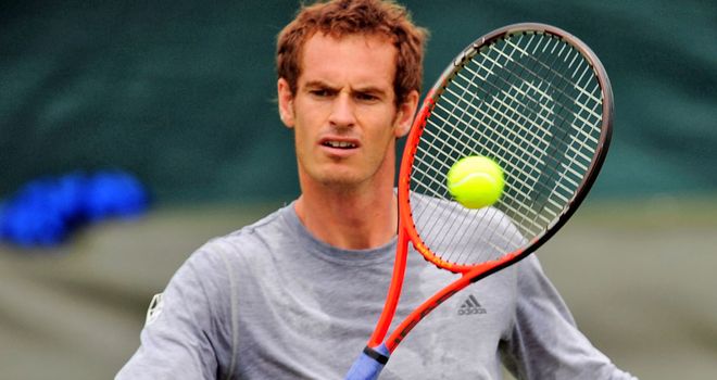 Andy Murray: His sem-final victory sparked a Twitter frenzy