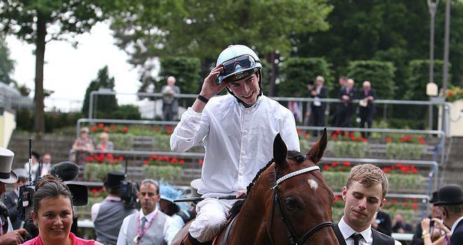 Belgian Bill: Could head for Betfred Mile