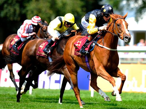 Indignant is fancied to claim the finale at York