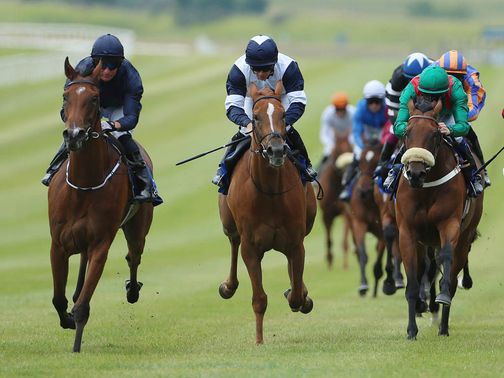 Tapestry (left): Added to Curragh line-up by O'Brien