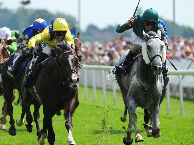 Danchai (right): One of six runners for William Haggas