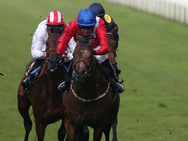 Supplicant: Nothing to lose in going for Middle Park