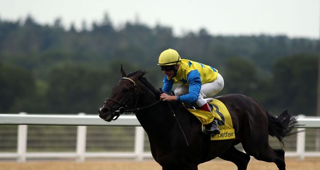 Novellist: Retired to stud