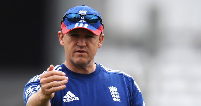 Andy Flower: Praised England but believes they must improve in Australia
