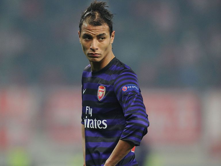 Marouane Chamakh: Set to join Crystal Palace on a one-year contract