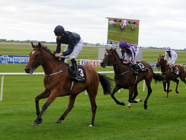 Dazzling: Impressed at Navan