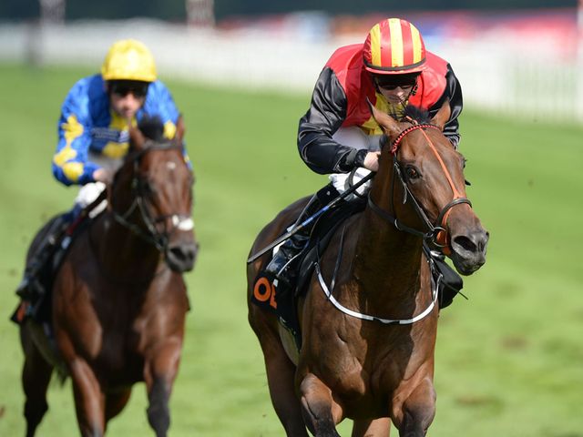 Viztoria: A plan well executed at Doncaster