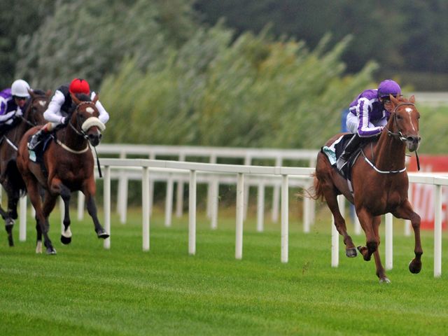 Australia: Far too good for Leopardstown rivals