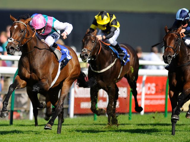 Joyeuse (left): Attempts to build upon Salisbury success