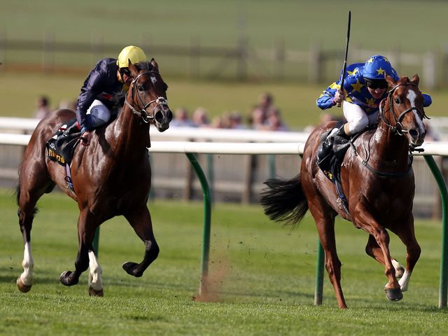 Cable Bay can't reel in Miracle Of Medinah at Newmarket