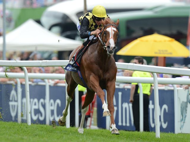 Producer: Runs at Salisbury