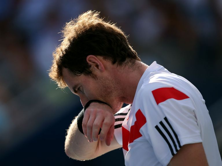 Andy Murray: Set to return to action on Boxing Day