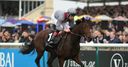 Thakhira set for Wulfruna