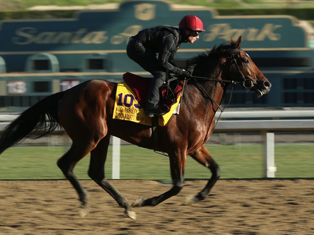 Declaration of War: Classic hopeful