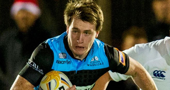 Stuart Hogg: Suffered the injury in win over Leinster