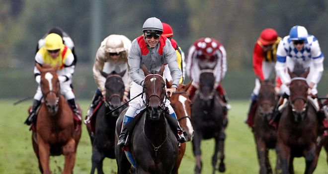 Treve: Ran out brilliant winner of the Arc at Longchamp