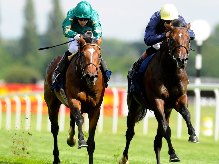 Barley Mow (right) - can handle step up in class in France