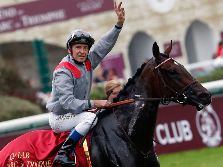 Treve: Will the world's best horse be anointed Cartier Horse of the Year?