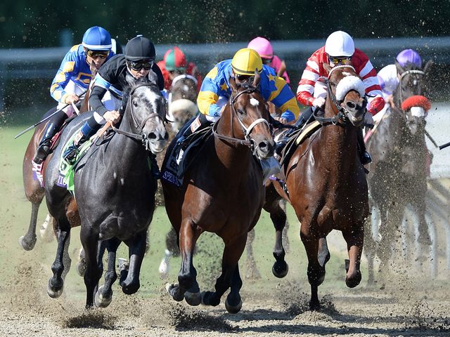 Mizdirection (left): Remarkable record at Santa Anita continues