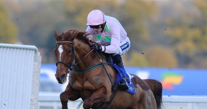 Annie Power: Christmas entry