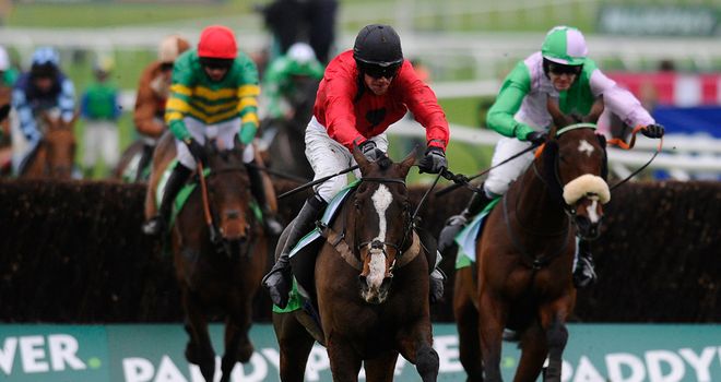 Hidden Cyclone: Could join Nearest The Pin at Cheltenham