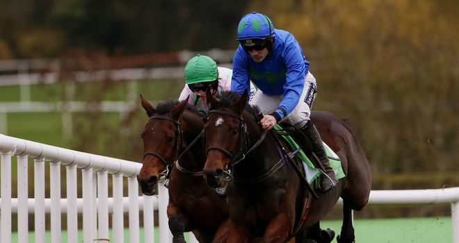Hurricane Fly: Didn't impress all of our team