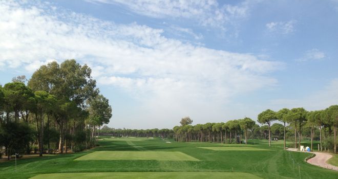 The Montgomerie Maxx Royal is very tree-lined