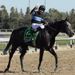 Mizdirection Sprints to glory