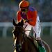 Beholder victory for Stevens