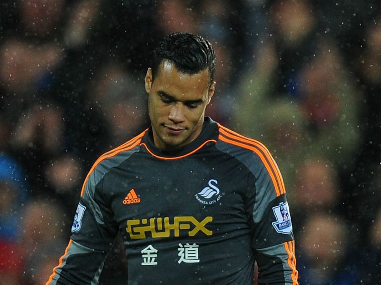 Michel Vorm: Needs knee surgery