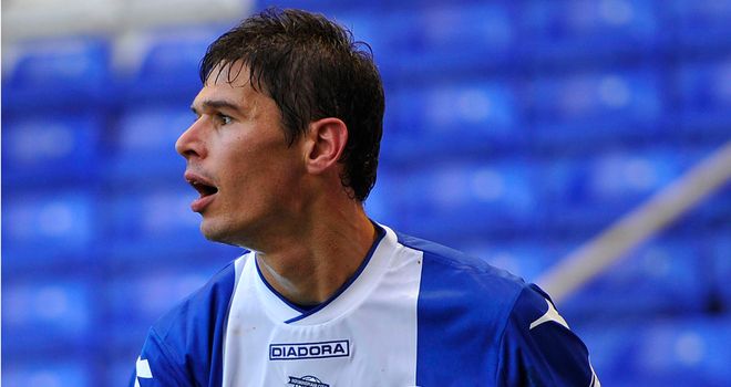 Nikola Zigic: On target in Birmingham win