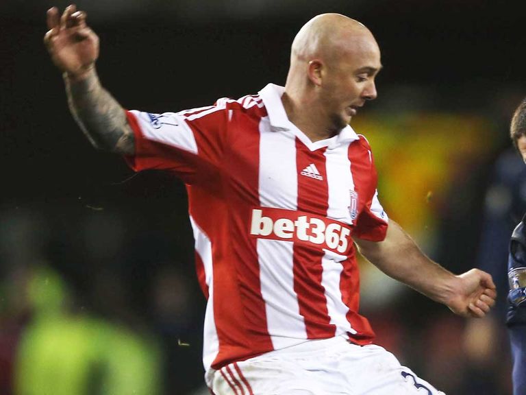 Stephen Ireland: Set to make his Stoke stay permanent