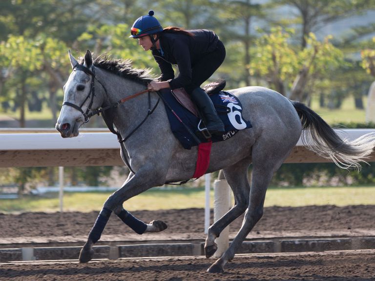 Sky Lantern: In fantastic form