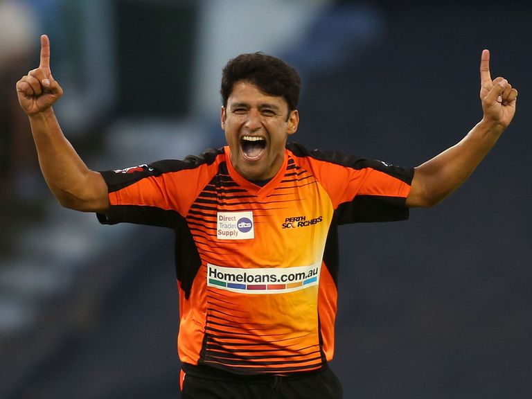 Yasir Arafat: Signs for Sussex