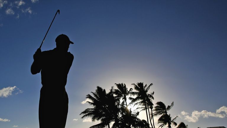 Who will flourish among the palm trees in Hawaii?