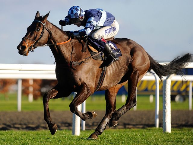 Captain Chris: Bloodless winner at Kempton