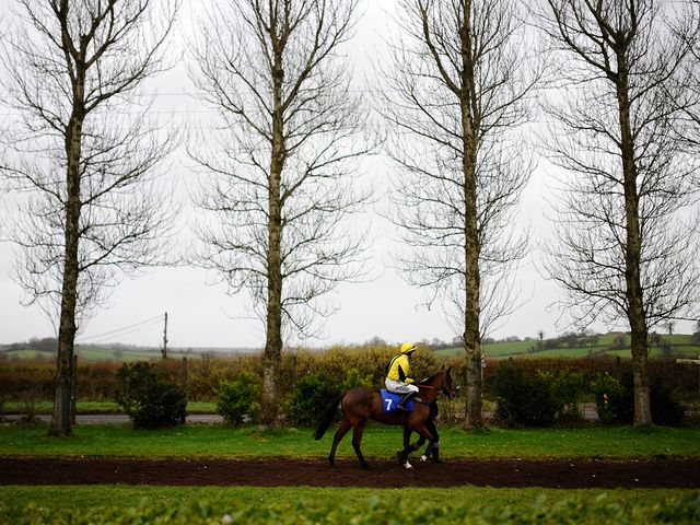 Wincanton: Race on Saturday