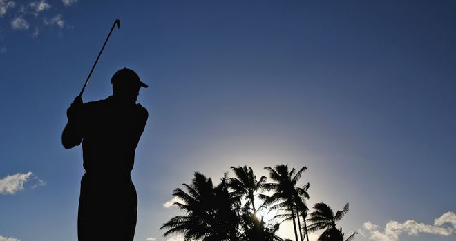 Who will flourish among the palm trees in Hawaii?