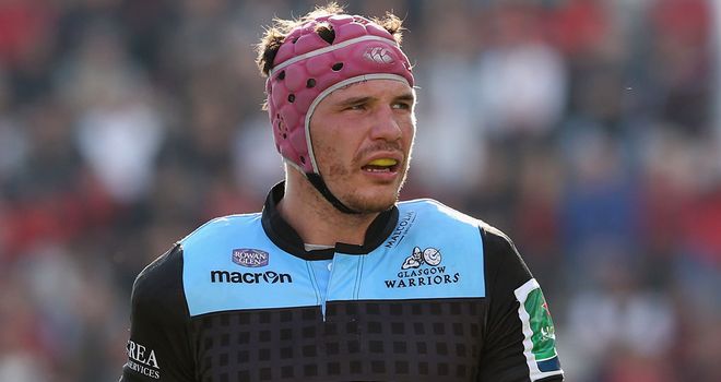 Tim Swinson: Scotland forward eyeing trophies with Glasgow
