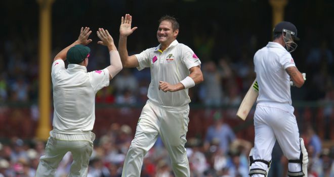 Ryan Harris: Australia seamer celebrates the wicket of Kevin Pietersen