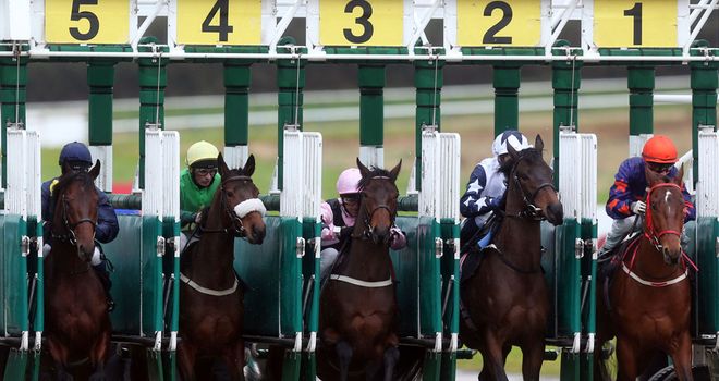 A gamble was landed on Wednesday